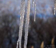 Январские этюды Харьковщины