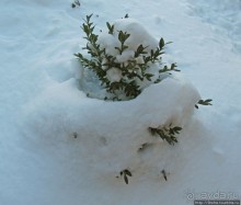 Январские этюды Харьковщины