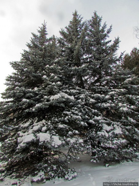 Январские этюды Харьковщины