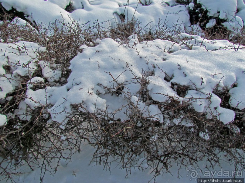 Январские этюды Харьковщины