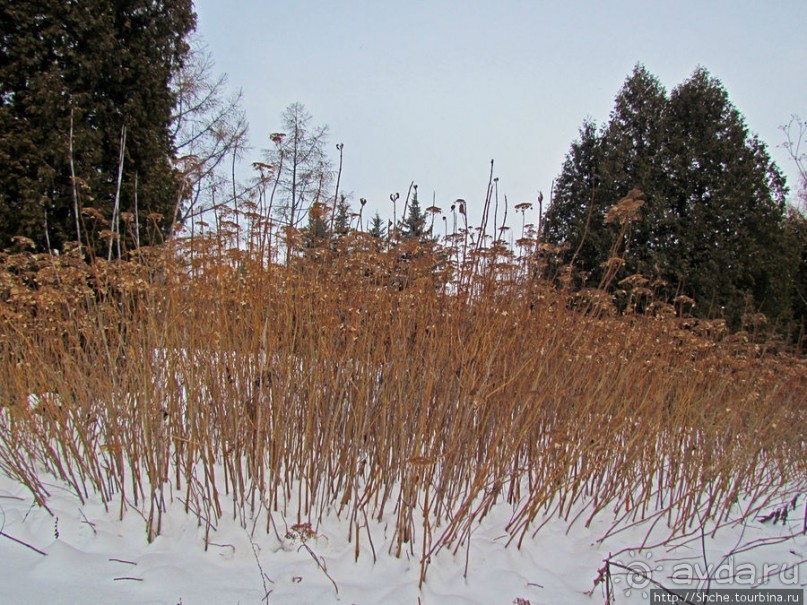 Январские этюды Харьковщины