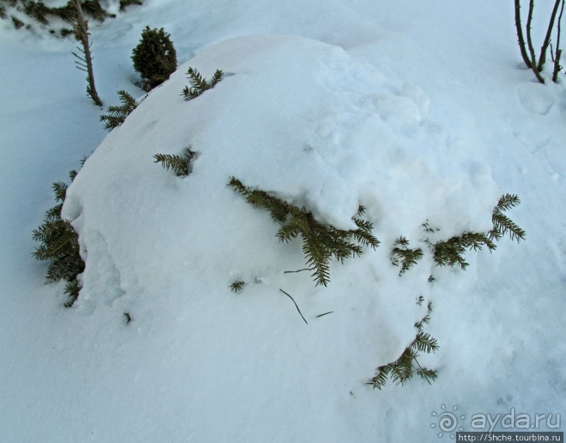 Январские этюды Харьковщины