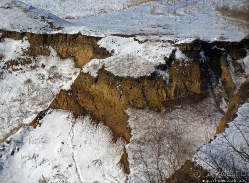 Январские этюды Харьковщины