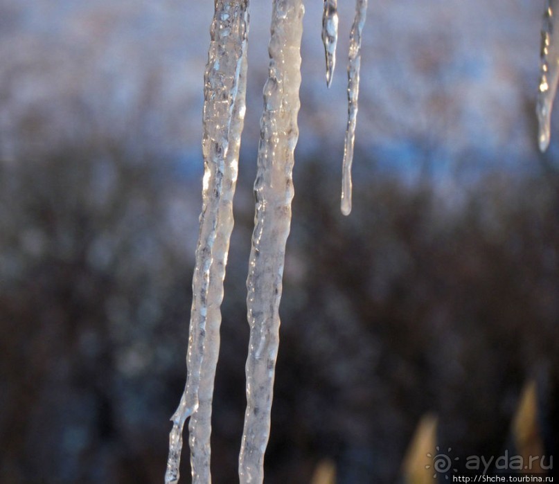 Январские этюды Харьковщины