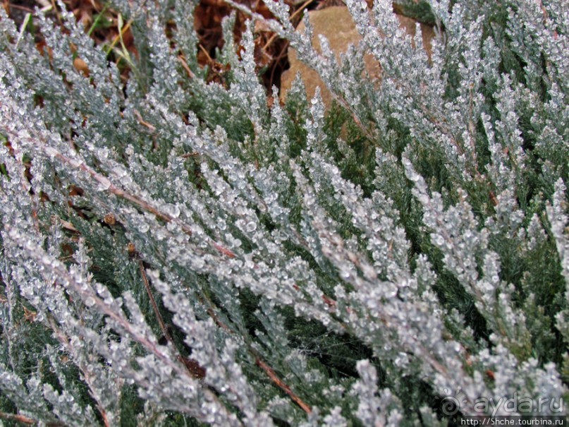 Январские этюды Харьковщины