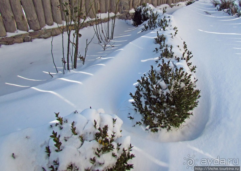 Январские этюды Харьковщины