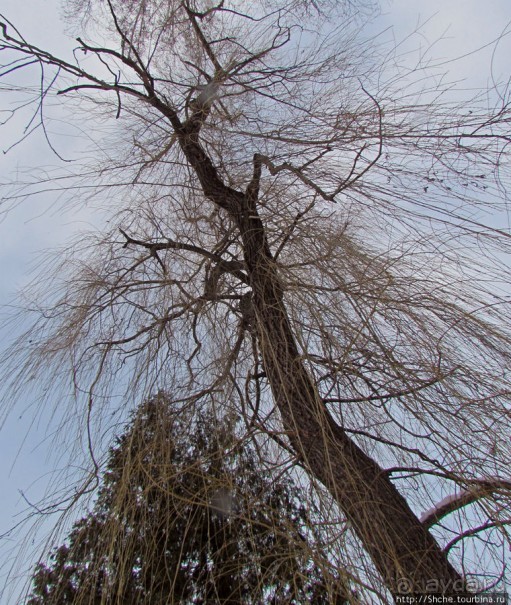 Январские этюды Харьковщины