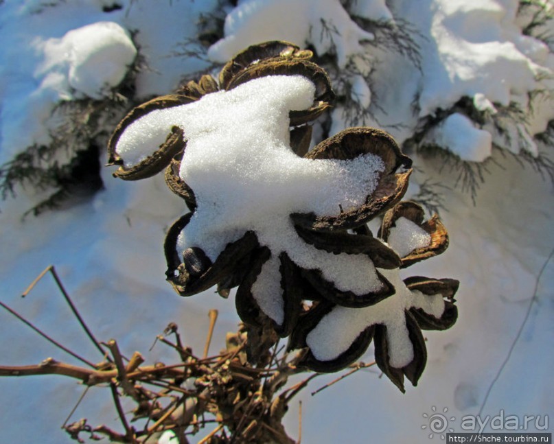 Январские этюды Харьковщины