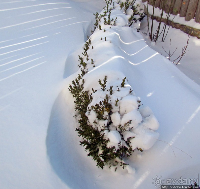 Январские этюды Харьковщины