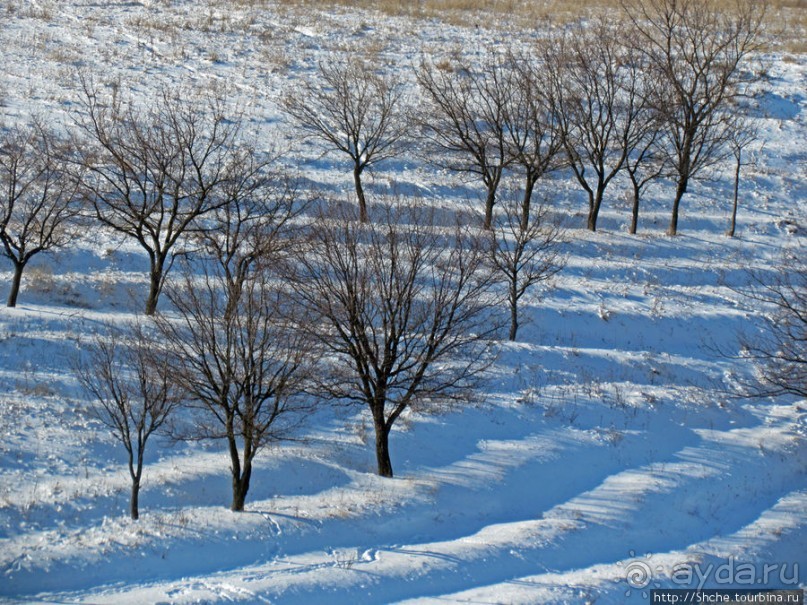 Январские этюды Харьковщины