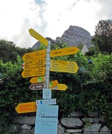 Зарганс и его окружение. Виды с замка