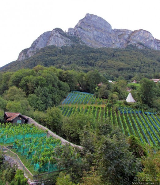 Зарганс и его окружение. Виды с замка