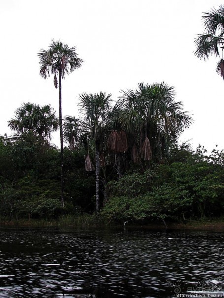 Водопады лагуны Канайма