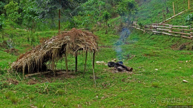 Там где пехота не пройдет... (непроходимый лес Бвинди)