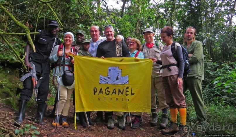 Там где пехота не пройдет... (непроходимый лес Бвинди)