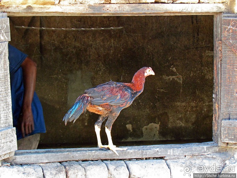 Мадагаскар. Обычный рынок небольшого города Амбатулампи