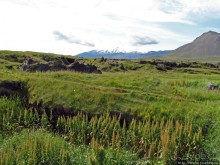 Нац. парк Snaefellsjokull. Что можно увидеть из автомобиля