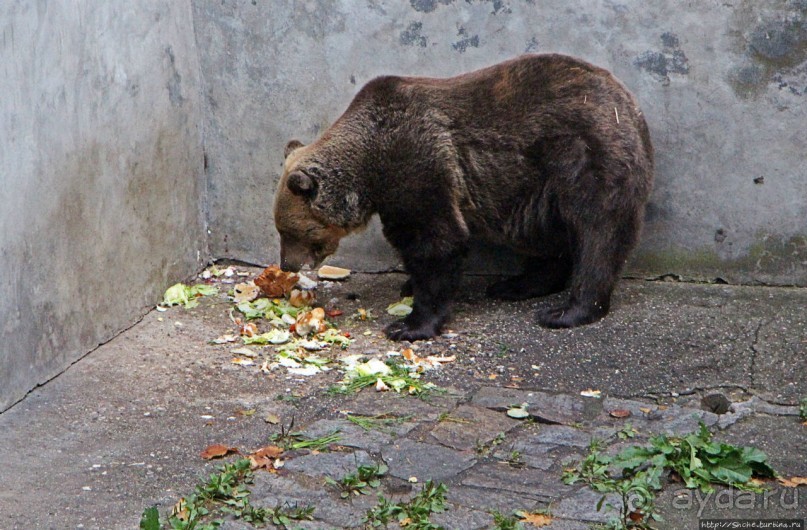 Исторический центр города Чески-Крумлов (объект ЮНЕСКО №617)