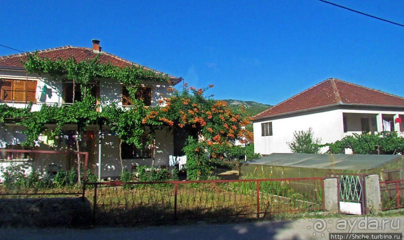 Любинье — старинный городок, где растят "Герцеговину Флор"