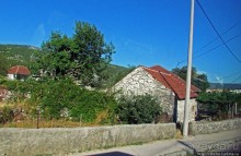 Любинье — старинный городок, где растят "Герцеговину Флор"