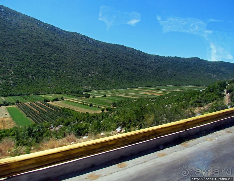 Любинье — старинный городок, где растят "Герцеговину Флор"