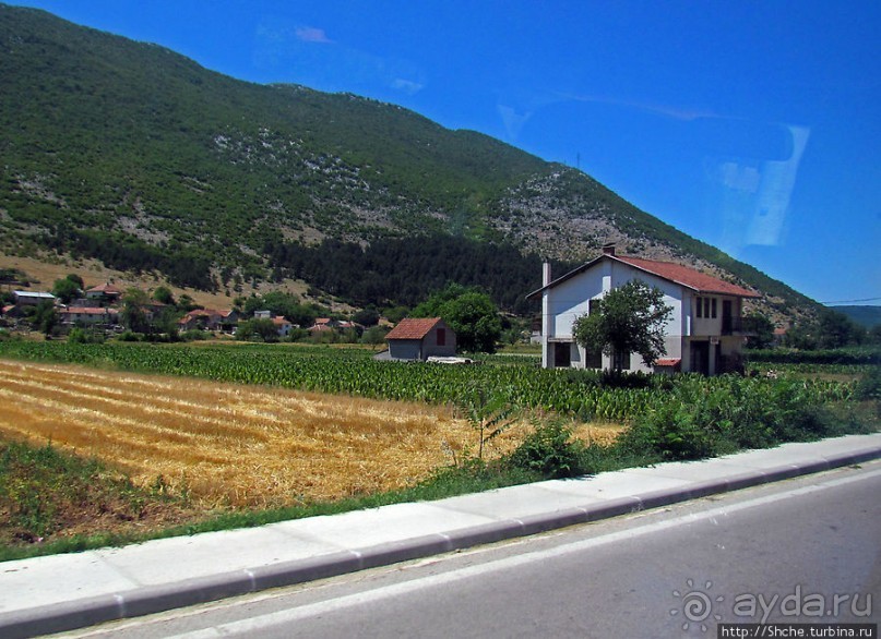 Любинье — старинный городок, где растят "Герцеговину Флор"