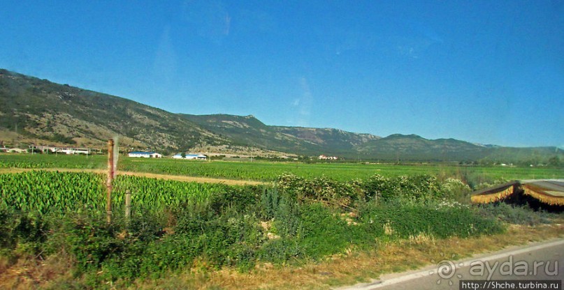 Любинье — старинный городок, где растят "Герцеговину Флор"