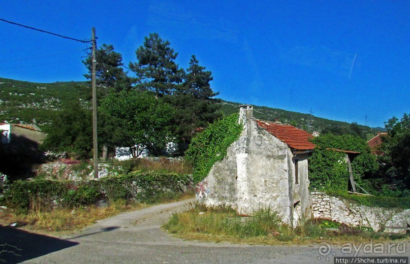 Любинье — старинный городок, где растят "Герцеговину Флор"