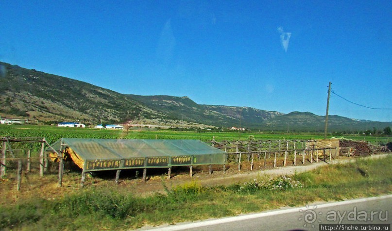 Любинье — старинный городок, где растят "Герцеговину Флор"