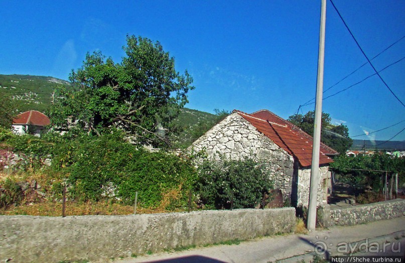 Любинье — старинный городок, где растят "Герцеговину Флор"