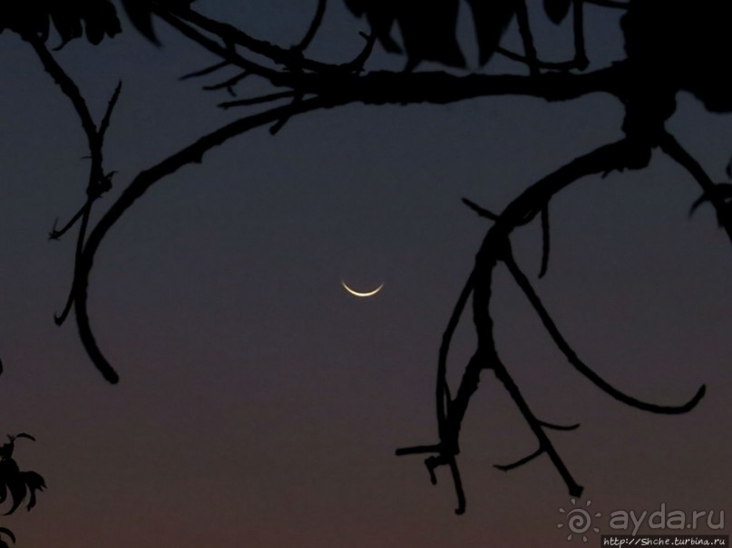 Это там, где алым метит Солнце спину горизонта