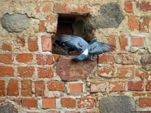 Мирский замковый комплекс — памятник ЮНЕСКО № 625