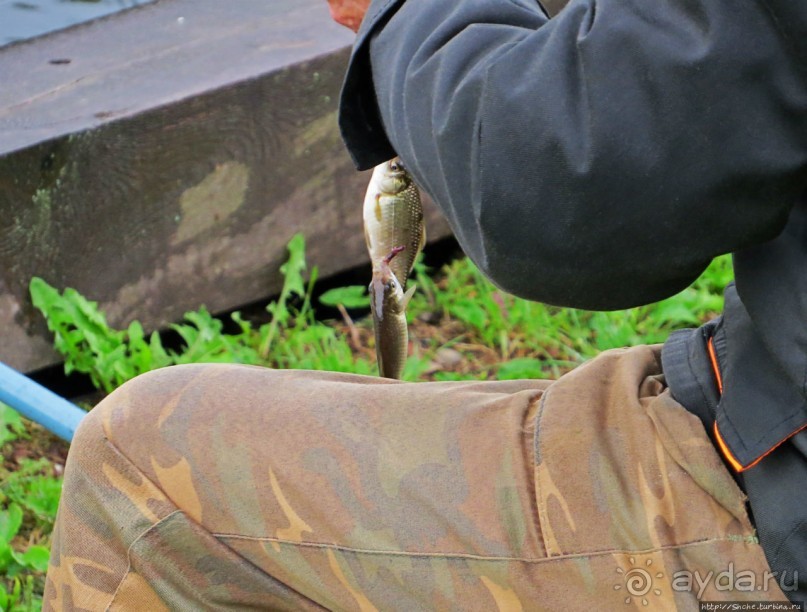 Мирский замковый комплекс — памятник ЮНЕСКО № 625