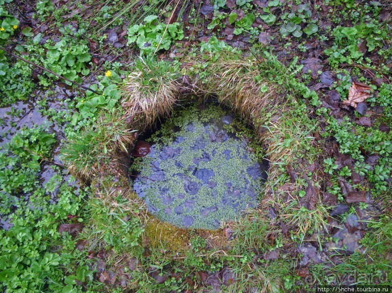 Апрель. Прикарпатье. Пробуждение природы