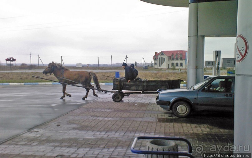 Апрель. Прикарпатье. Пробуждение природы
