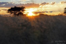 Очередной, и как всегда незабываемый