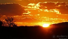 Очередной, и как всегда незабываемый