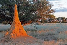 Очередной, и как всегда незабываемый