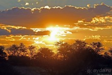 Очередной, и как всегда незабываемый