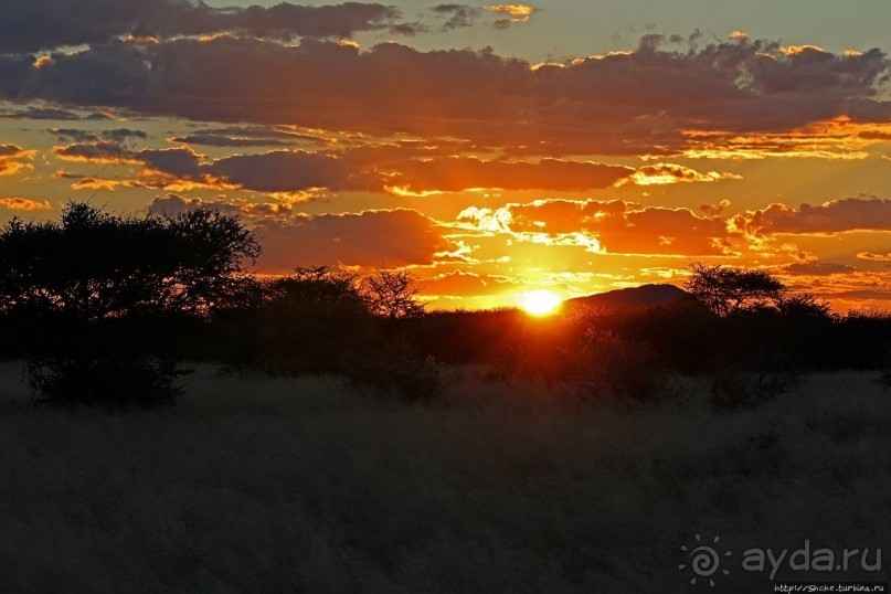 Очередной, и как всегда незабываемый