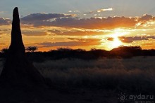 Очередной, и как всегда незабываемый