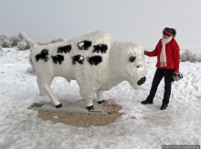 Antelope Island - заповедник в Большом Соленом озере.
