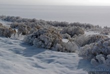 Antelope Island - заповедник в Большом Соленом озере.