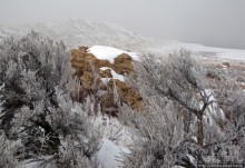 Antelope Island - заповедник в Большом Соленом озере.