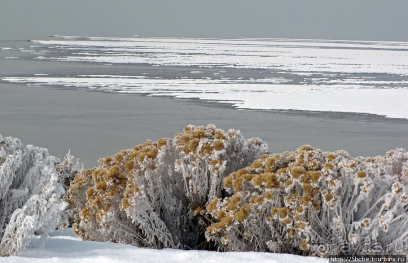 Antelope Island - заповедник в Большом Соленом озере. Antelope Island - заповедник в Большом Соленом озере.