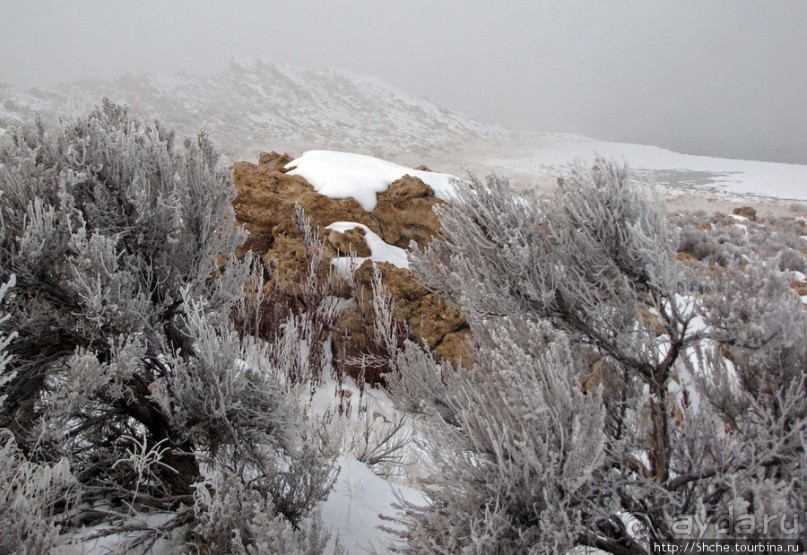 Antelope Island - заповедник в Большом Соленом озере. Antelope Island - заповедник в Большом Соленом озере.