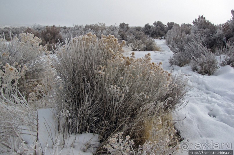 Antelope Island - заповедник в Большом Соленом озере. Antelope Island - заповедник в Большом Соленом озере.