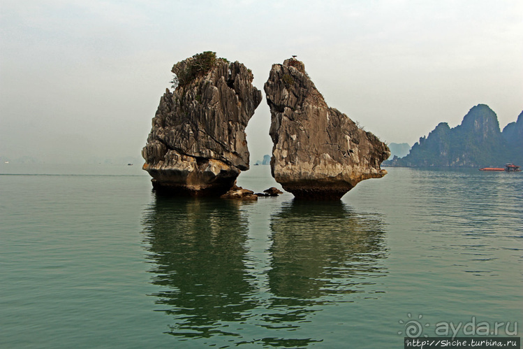 Петушки распетушились, но подраться не решились