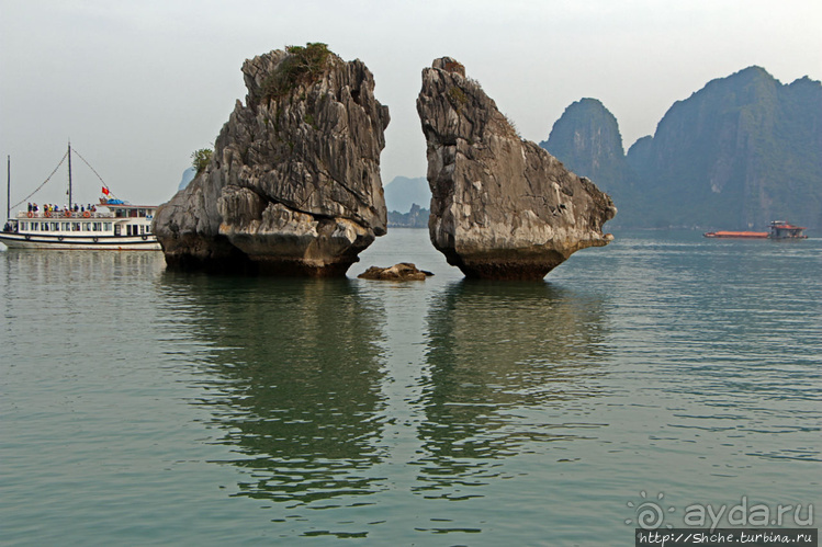 Петушки распетушились, но подраться не решились