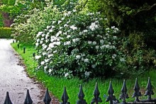 Окраина провинциального английского городка Хорли